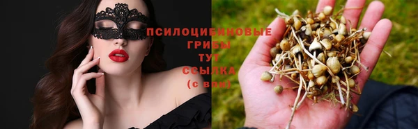 MDMA Богданович