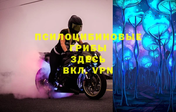 прущая мука Богородск